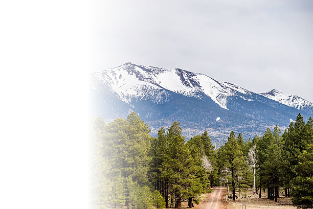 White Mountains of Arizona at dusk